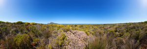 Cape Peninsula Fields Panorama (VR)